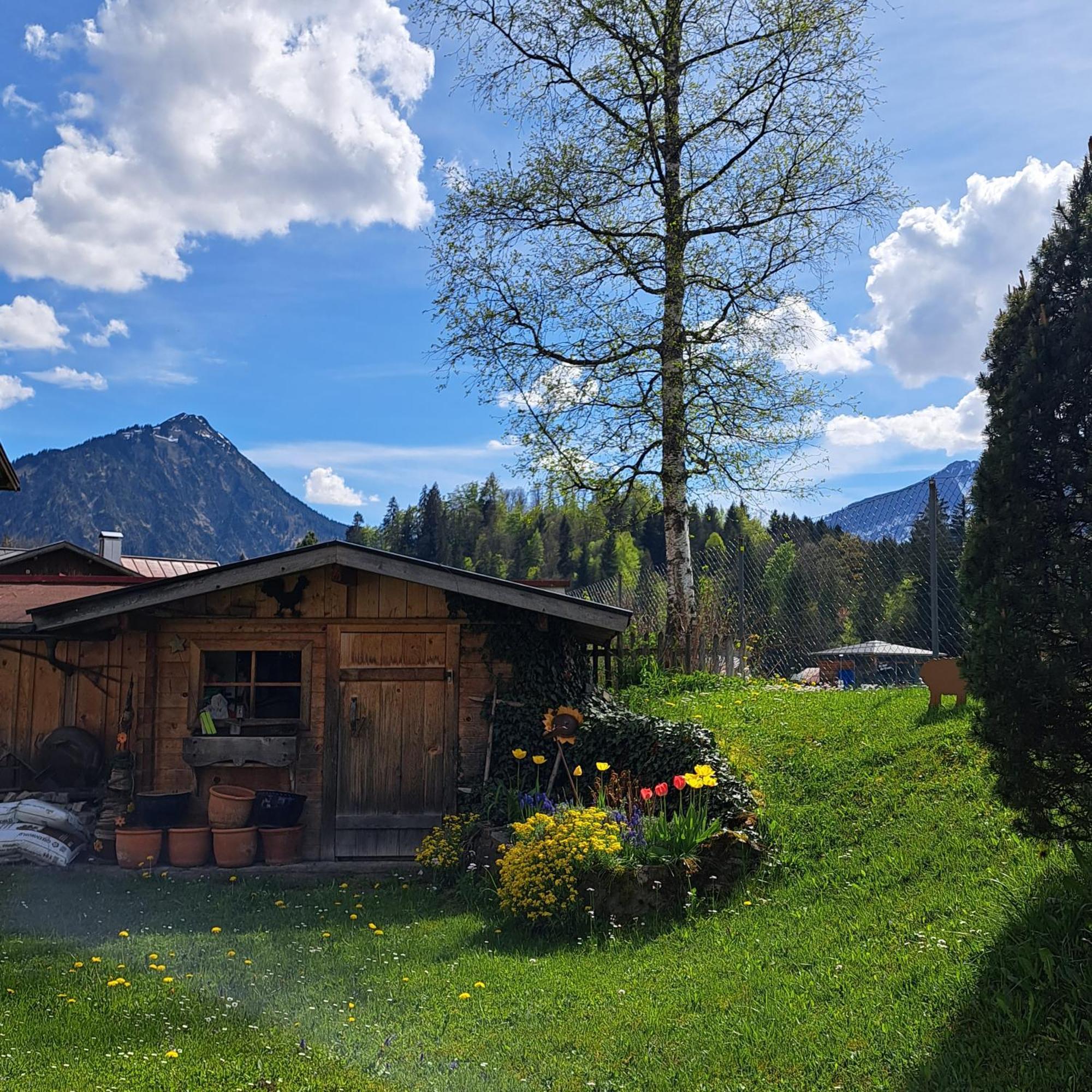 Faltenbach Ferienwohnungen In Оберстдорф Екстериор снимка